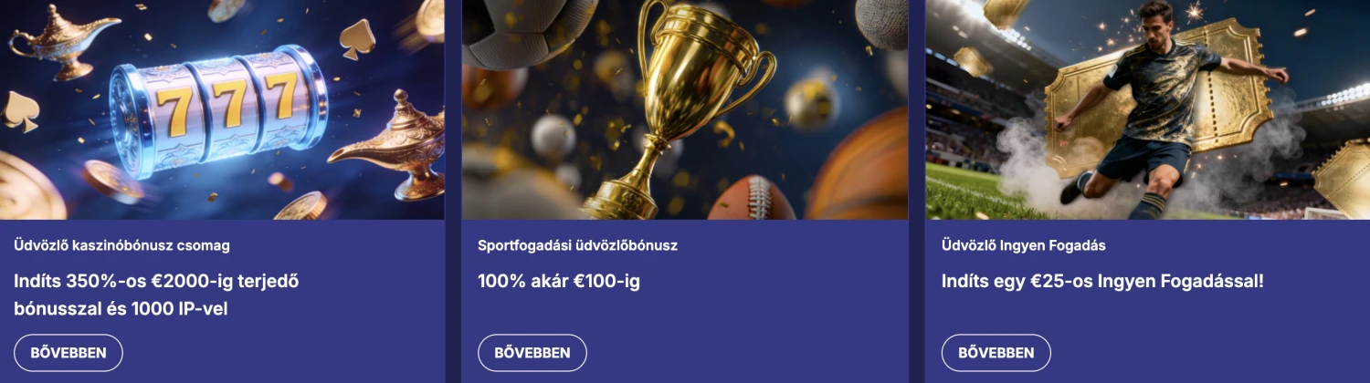 Promotional Banner
